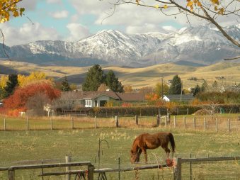 523557_465532106893377_832677330_n