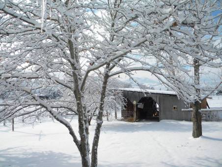 1505381_488789657900955_2141768104_n