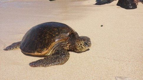 10989975_10205025950521994_4745002295606334045_n