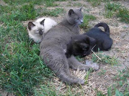 11406907_764640496982535_983470714328784174_n