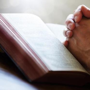 12208806_10205421133784119_3842696596979322873_n